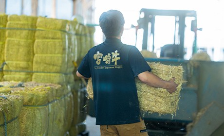 餌(飼料)の準備・栄養管理