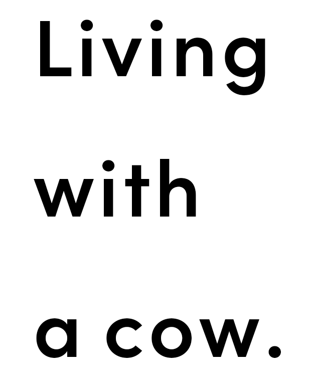 Living with a cow.
