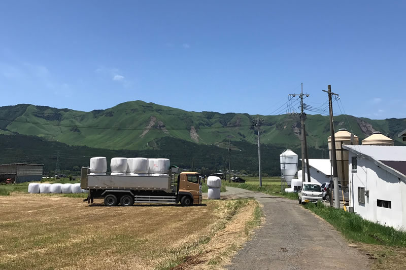 熊本阿蘇農場