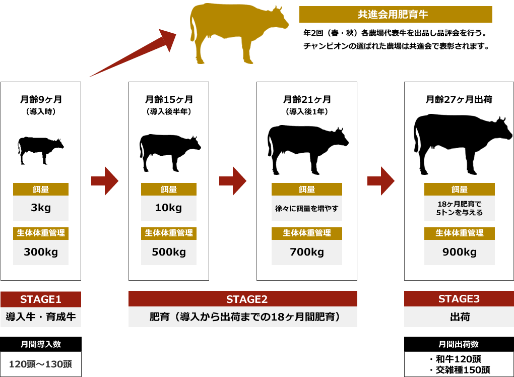 内田畜産肥育ステージ